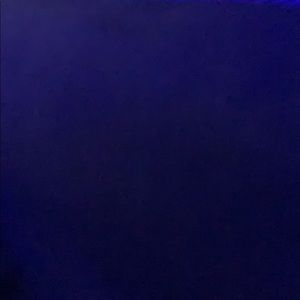 Meet your Posher, Julian